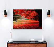 Obraz Čaro jesene 1588